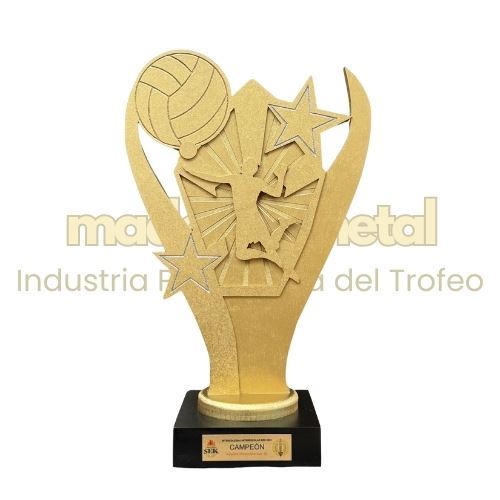 Imagen de Trofeo exclusivo - M1.1209